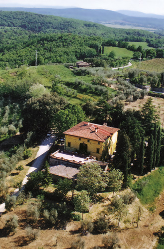 Federico Bonfio