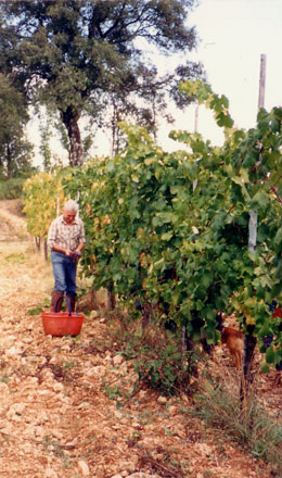 Il Poggiolo