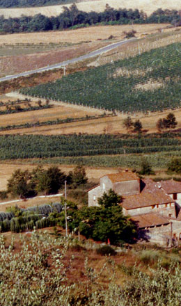 Il Torrione